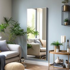 a living room with a couch, mirror and potted plant on the table in front of it