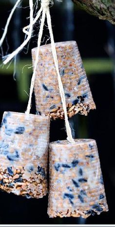 four bird seed feeders hanging from a tree