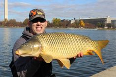 a man holding a large fish in front of a body of water with the caption catch and fly