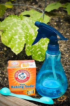 a bottle of baking soda next to a toothbrush and soap