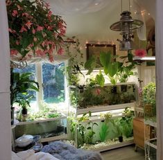 a room filled with lots of plants and flowers