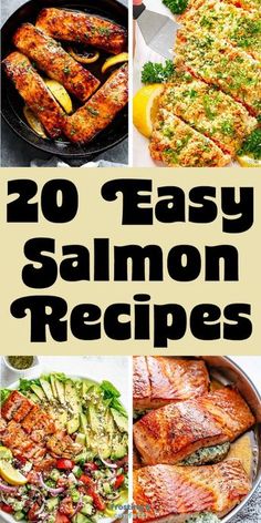 the top ten easy salmon recipes