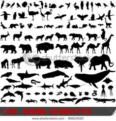 an animal silhouettes set on white background stock photo, a picture of an animal silhouettes set on white background