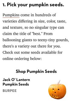 pumpkin seeds for sale in the store, with prices on each side and price list below