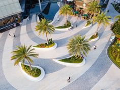 an aerial view of palm trees and people walking around