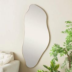 a mirror on the wall next to a potted plant