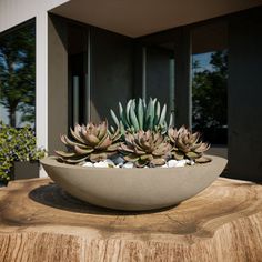 there is a bowl with plants in it on top of a tree stump outside the building