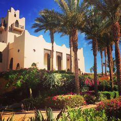 palm trees and flowers in front of a building