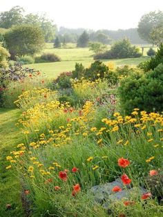 an open field with lots of flowers and trees