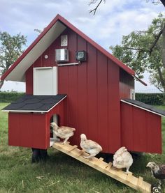 some chickens are standing in front of a red house