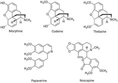 the structure and formulas of different types of caffeine in various forms, including