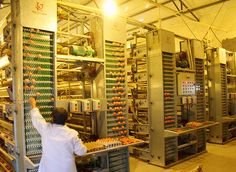 an assembly line in a factory filled with lots of oranges and other produce items