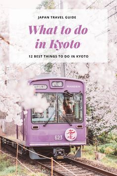 a purple train with the words japan travel guide what to do in tokyo on it