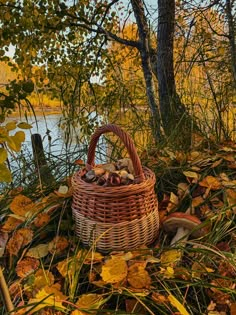 a basket full of mushrooms sitting on the ground next to some trees and water in the background