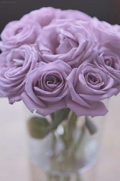 a glass vase filled with purple roses on top of a table