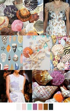 the color scheme is inspired by seashells