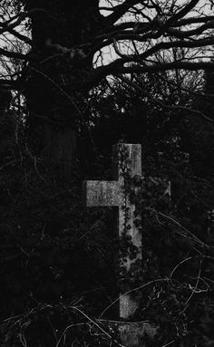 a black and white photo of a cross in the woods with vines on it's sides