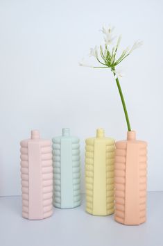 three different colored vases with a single flower in them