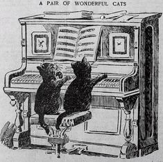 two cats sitting on top of a piano with the caption'a pair of wonderful cats '