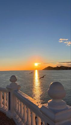 the sun is setting over the ocean with seagulls flying