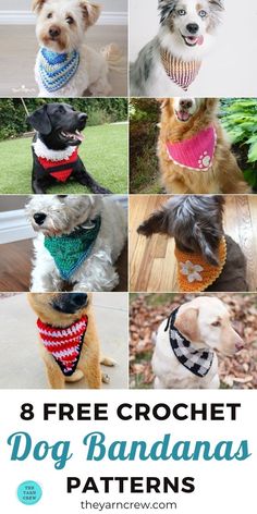 eight free crochet dog bandanas for dogs with their names on them and the text, 8 free crochet dog bandas patterns