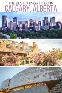 the best things to do in calgary, alberia with text overlay