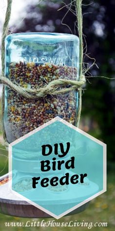 a bird feeder hanging from a tree with the words diy bird feeder on it