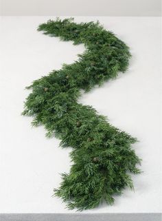 a long piece of green grass with pine cones on it