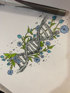 a drawing of a plant with blue flowers and a double - stranded genena