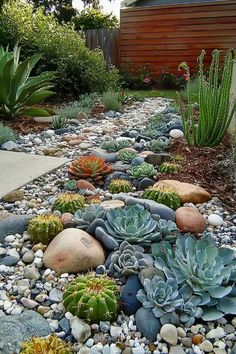 26 Cactus Garden Landscaping Ideas for Stunning Desert-Inspired Designs Cactus Garden Backyard, Desert Backyard Ideas Arizona, Succulent Garden Bed, Cactus Garden Landscaping, Garden Landscaping Backyard, Arizona Garden, Garden Landscaping Ideas, Garden Retaining Wall, Arizona House