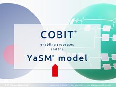 the words cobit enableing processes and the yasm model