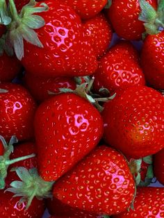 a pile of red strawberries sitting on top of each other