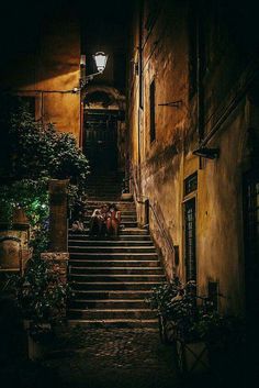 an alleyway with steps leading up to the door and potted plants on either side