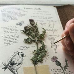 a hand holding a pen and writing on paper with flowers, plants and birds drawn on it