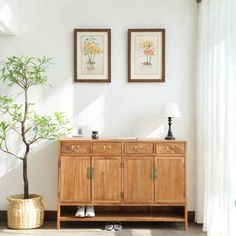 a living room with two pictures on the wall and a potted plant next to it