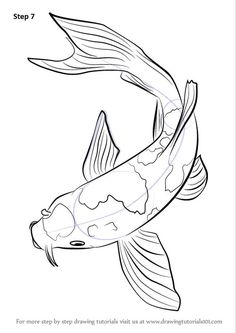 how to draw a koi fish step by step