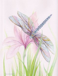 a dragonfly sitting on top of a pink flower next to a green plant with the words buenos dias