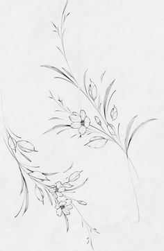 an ink drawing of flowers and leaves on white paper