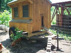 a small wooden house sitting in the middle of a yard next to a chicken coop