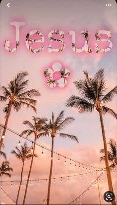 palm trees and string lights with the words jesus on it's side in pink