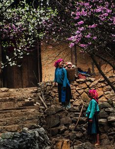 two women are walking up some steps in front of a building with purple flowers on it