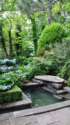 a small pond in the middle of a lush green garden with stone benches and trees