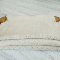 a dog laying on top of a white floor next to a blanket with brown ears