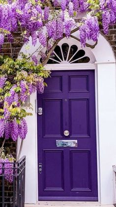 a purple door with wisters growing over it