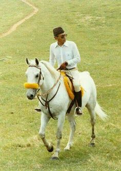 a man riding on the back of a white horse across a lush green field with a yellow frisbee in his mouth