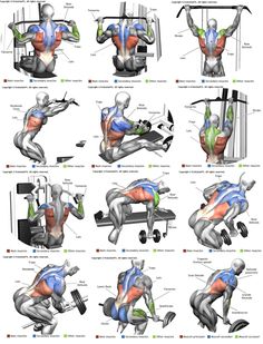 an iphone screenshot shows the muscles and their corresponding positions in order to perform exercises