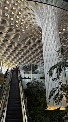 an escalator in the middle of a building with people on it and plants growing inside