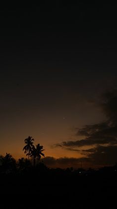 an airplane flying in the sky at night with palm trees and clouds behind it,