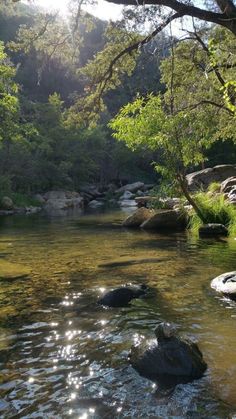 the sun shines on some rocks and water in this stream that is surrounded by trees