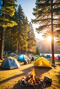 tents are set up in the woods near a campfire